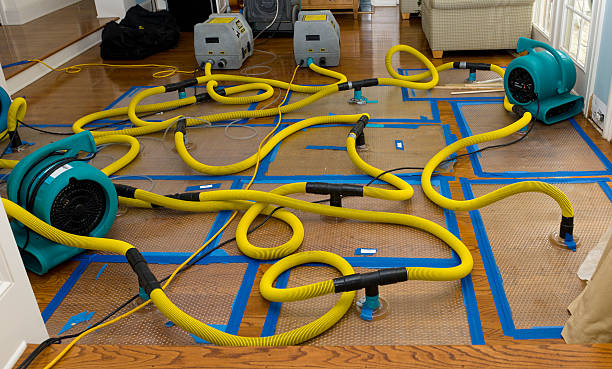 Professional Burst Pipe Water Damage technician working in Ethel, WV