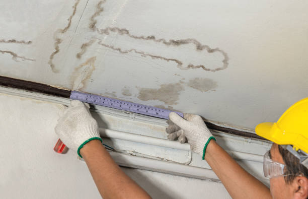 Affordable Water Damage Repair solutions in Ethel, WV